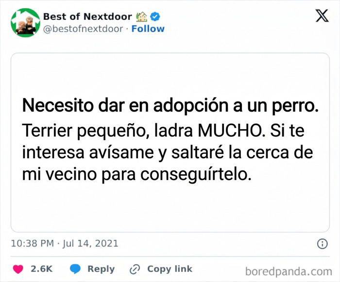 Anuncio para dar en adopción un perro terrier que ladra mucho en anécdotas de vecinos