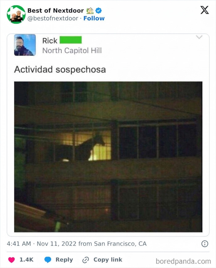 Actividad sospechosa con animal en ventana en casa según vecinos