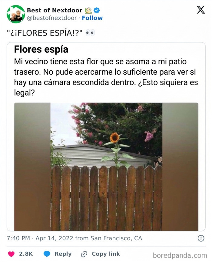 Vecino reporta flor sospechosa que podría ocultar cámara