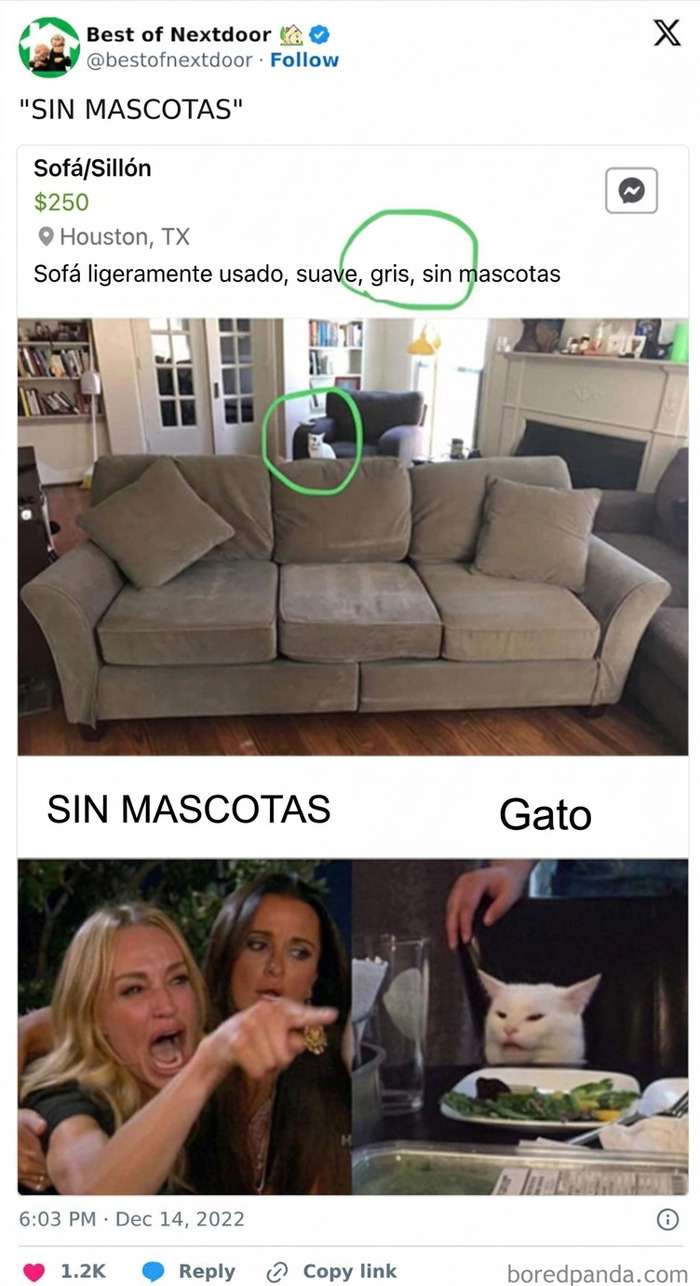 Anuncio gracioso de sofá sin mascotas con gato visible en sala