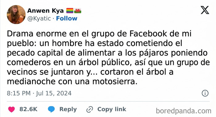 Vecinos discuten sobre alimentación de pájaros y drama comunitario