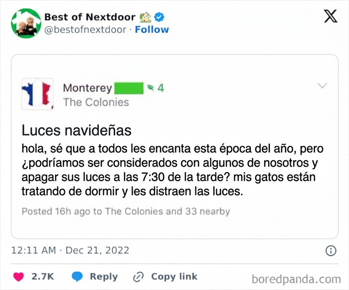 Queja vecinal sobre luces navideñas que molestan gatos intentando dormir en época festiva