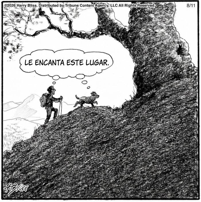 Viñeta divertida sobre perros y senderismo en la naturaleza