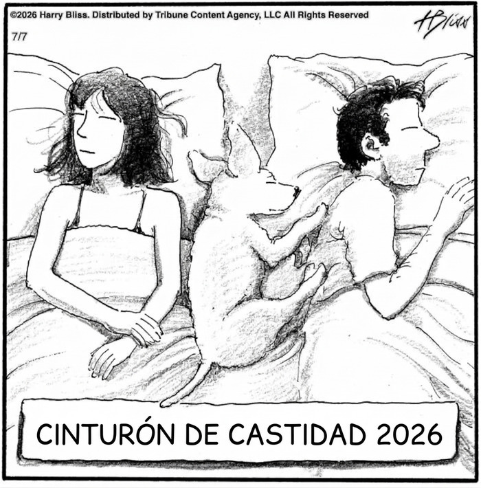Viñeta cómica con perro en cama entre pareja y texto cinturón de castidad.