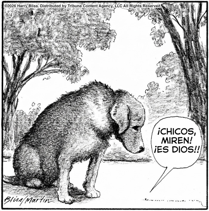 Viñeta divertida sobre perros con perro mirando al suelo en bosque.
