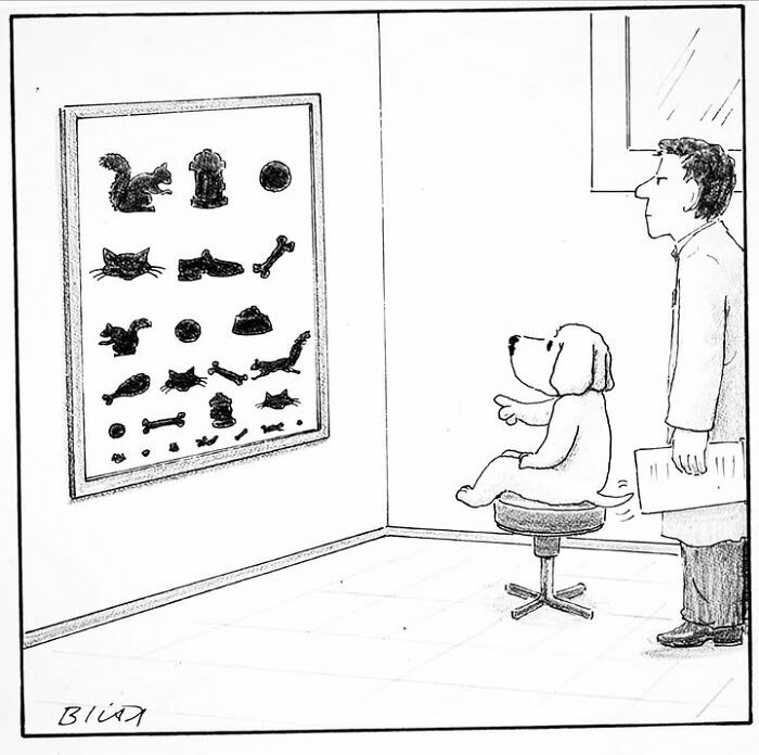 Viñeta cómica con perro en consulta mirando figuras relacionadas con perros y gatos