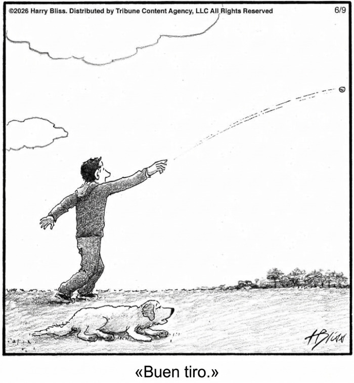 Viñeta humorística de persona lanzando pelota para perro