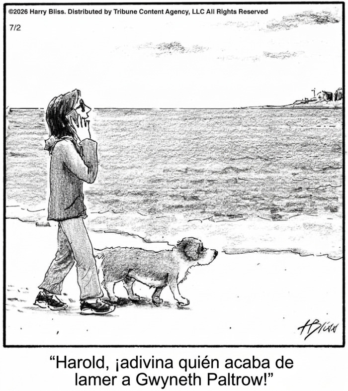 Viñeta cómica de persona y perro caminando en la playa