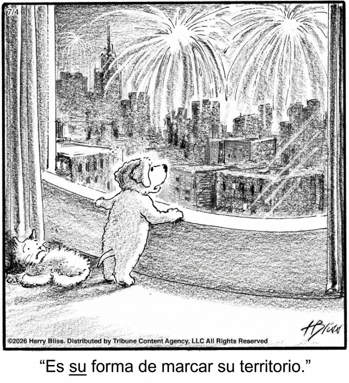 Viñeta graciosa de perro observando fuegos artificiales desde ventana