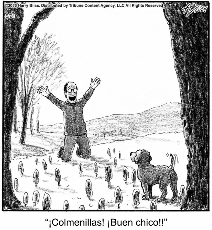 Caricatura con perro y dueño celebrando con referencia a viñetas divertidas perros