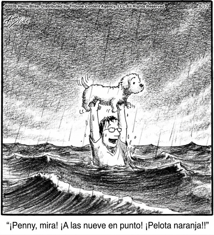 Viñeta cómica de perros con pelota en escena bajo la lluvia por Harry Bliss