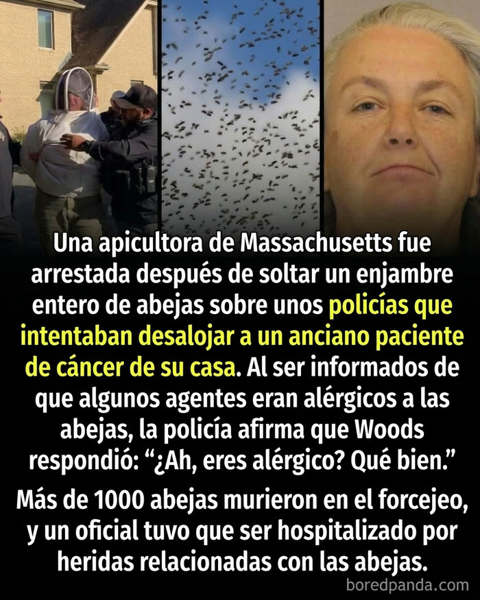 Apicultora arrestada tras soltar abejas en policía que desalojaba a paciente con cáncer