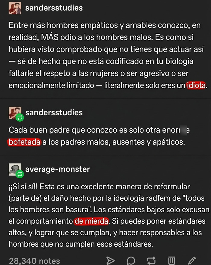 Texto sobre odio a hombres malos y estándares en redes sociales
