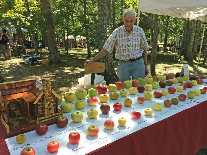 Hombre mayor mostrando distintas variedades de manzanas en exposición al aire libre