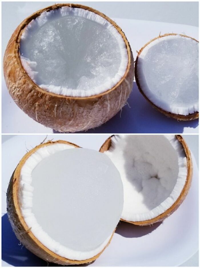 Dos cocos con agua y jugo congelado en su interior mostrando fenómenos de congelación