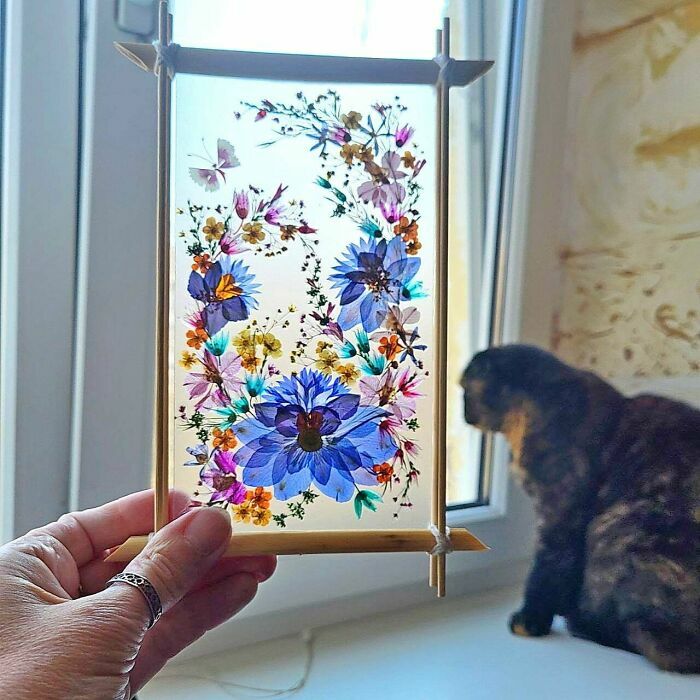 Marco con flores prensadas y gato de fondo en creación genial