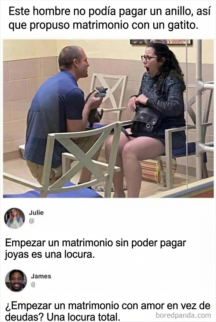 Propuesta de matrimonio con un gatito y reflexiones sobre el amor