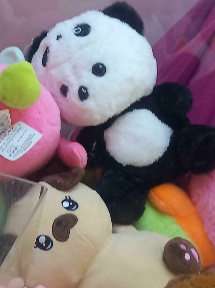 Peluches con diseño fallido y divertido en máquina de premios.