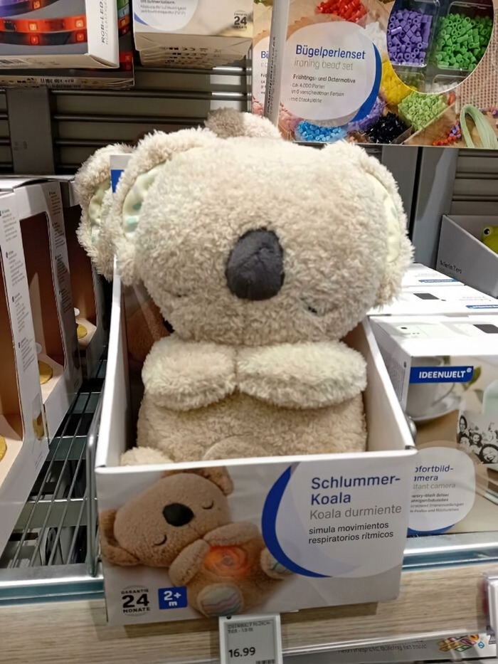 Peluches de koala con diseño de juguete infantil defectuoso en caja
