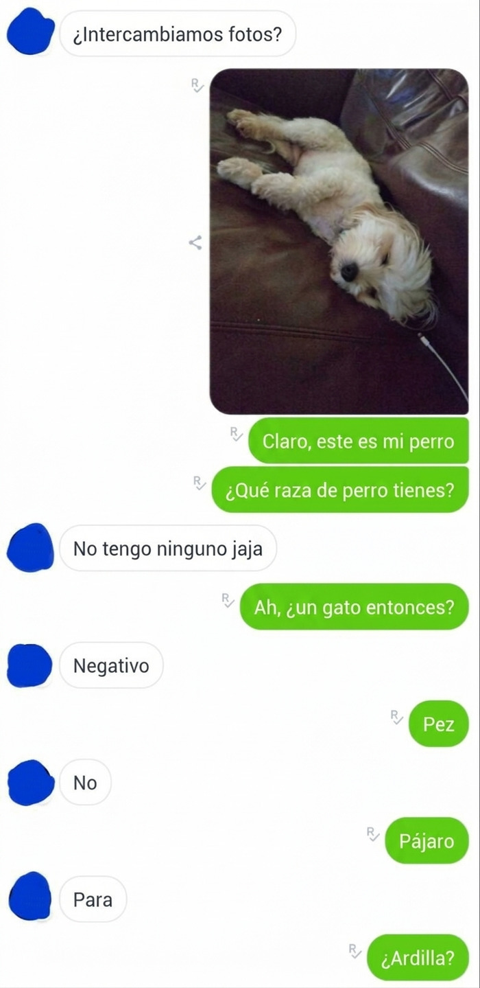 Intercambio de mensajes con foto de perro en conversación ridícula por chat