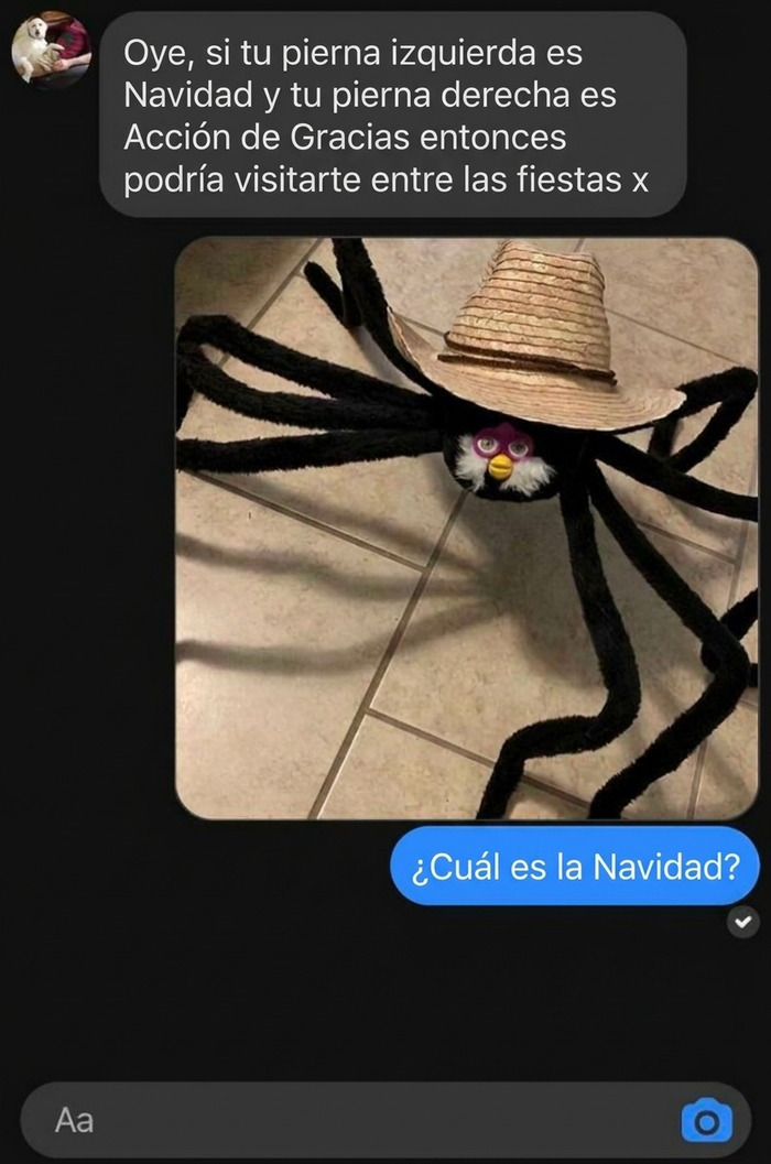 Texto con mensaje ridículo y foto humorística en mensajes de texto