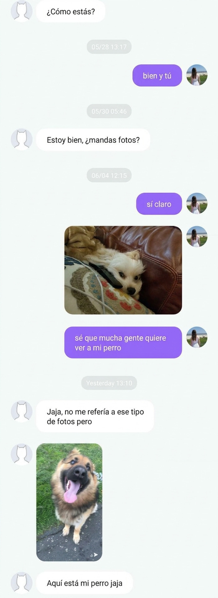 Conversación con mensajes de texto ridículos y fotos de perros en mensajes divertidos