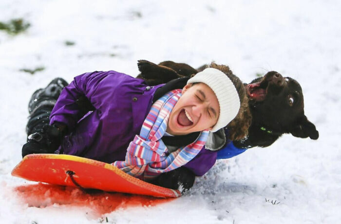 Un perro feliz tirándose en trineo con su dueño, ideal para fotos tiernas y divertidas de animales.