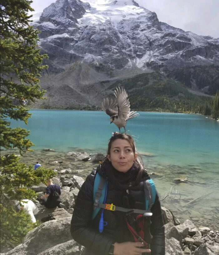 Pájaro posado en la cabeza de mujer con mochila junto a lago y montañas