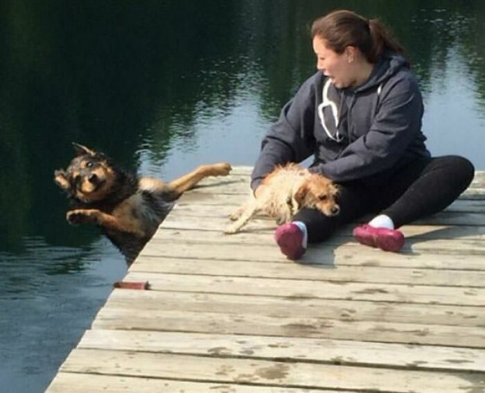 Perro cayendo al agua junto a niña en fotos divertidas de animales