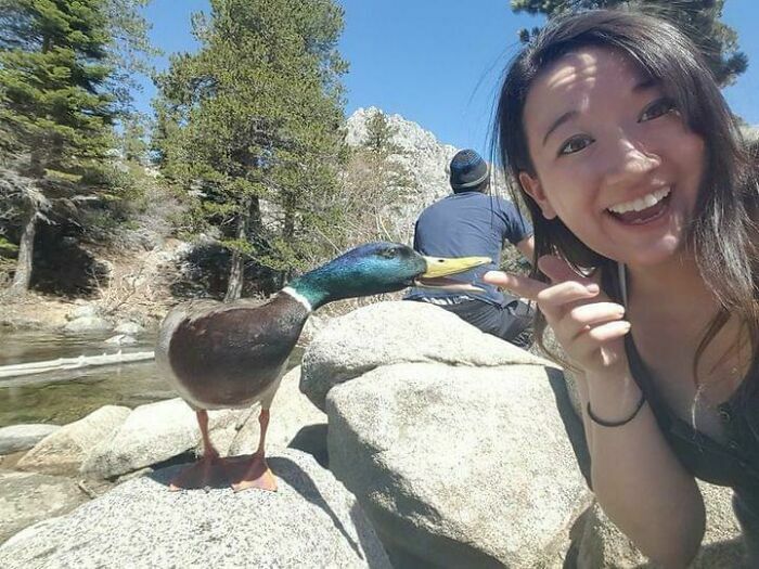 Mujer sonriente junto a pato en foto divertida de animales en la naturaleza