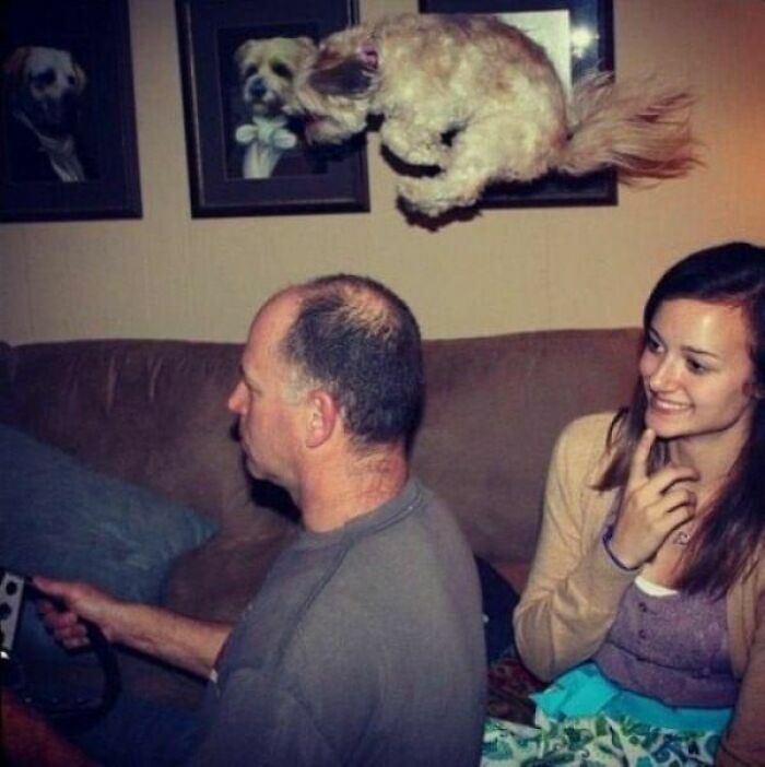 Perro saltando sobre hombre en sofá con mujer sonriendo en escena tierna de animales