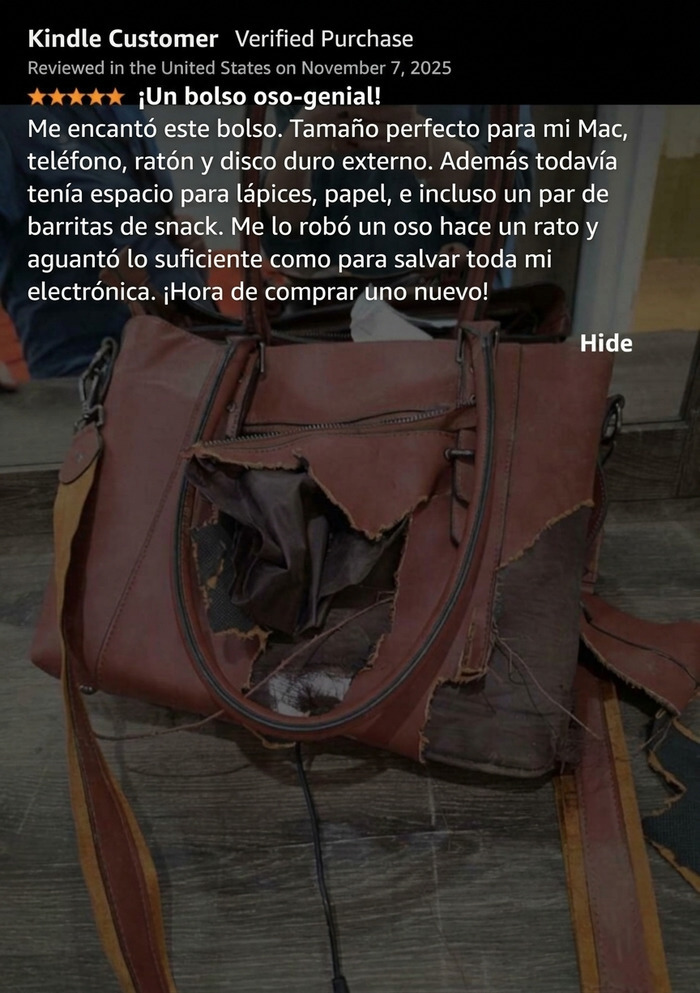 Bolso dañado por oso tras divertida reseña de bolso en Amazon