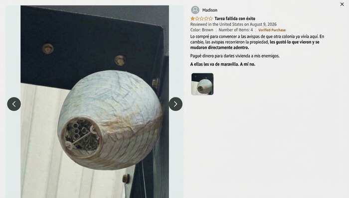 Reseña graciosa en Amazon de nido de avispas en la casa