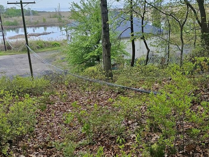 Poste de luz inclinado y caído en el bosque, muestra clara de fallos de construcción en infraestructura.