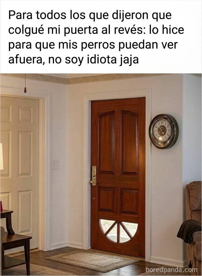 Imágenes reconfortantes de una puerta de madera instalada con ventana abajo para que miren los perros.