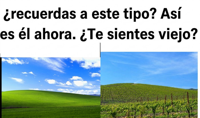 Comparativa del icónico fondo de pantalla Bliss con imágenes reconfortantes