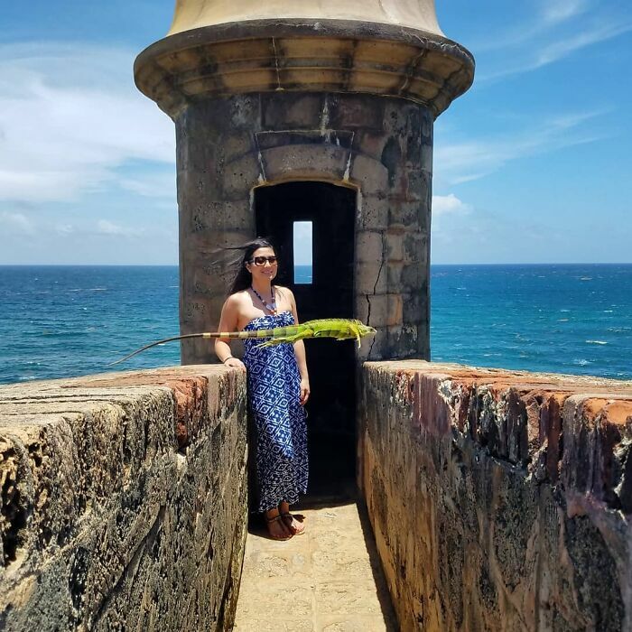 Iguana saltando frente a una mujer en un castillo, fotos divertidas.