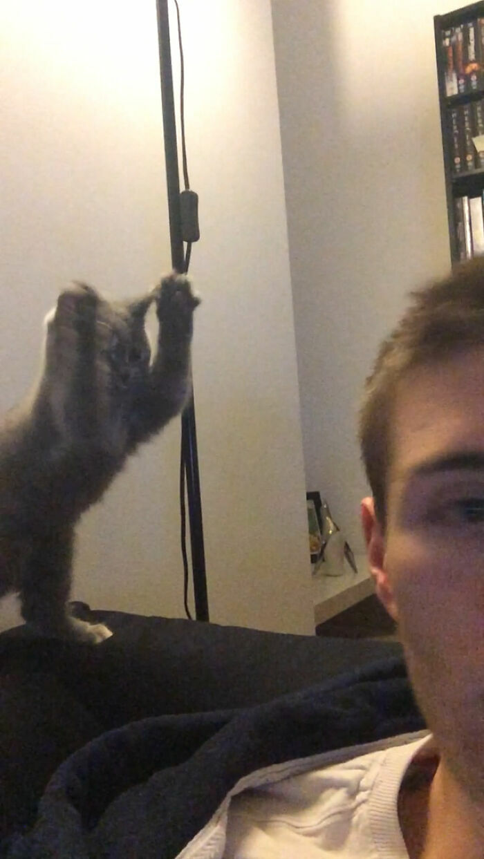 Hombre en primer plano mientras un gato salta al fondo de divertidas fotos e inesperadas.
