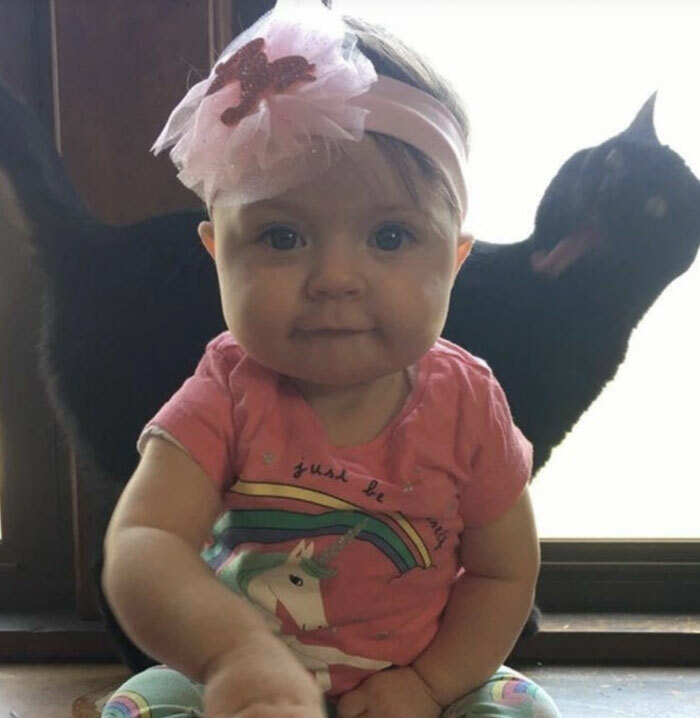 Bebé sonriente con gato en el fondo formando una imagen divertida con el fondo