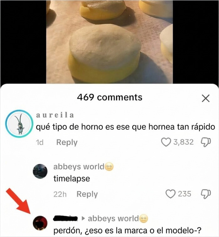 Usuario de TikTok confundiendo conceptos de cocina y demostrando su ignorancia en TikTok.