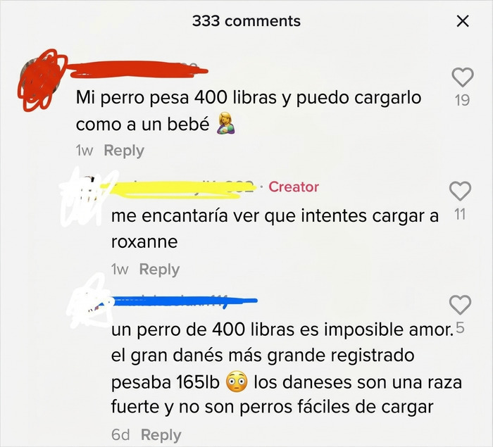 Comentario ridículo sobre el peso de un perro reflejando ignorancia en TikTok.