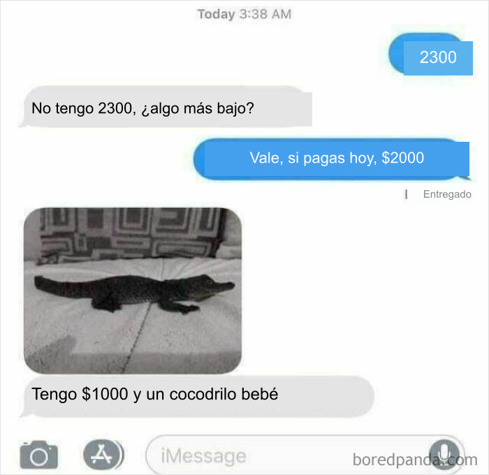 Chat donde un comprador ofrece un cocodrilo como pago, caso de pedigüeños exasperantes
