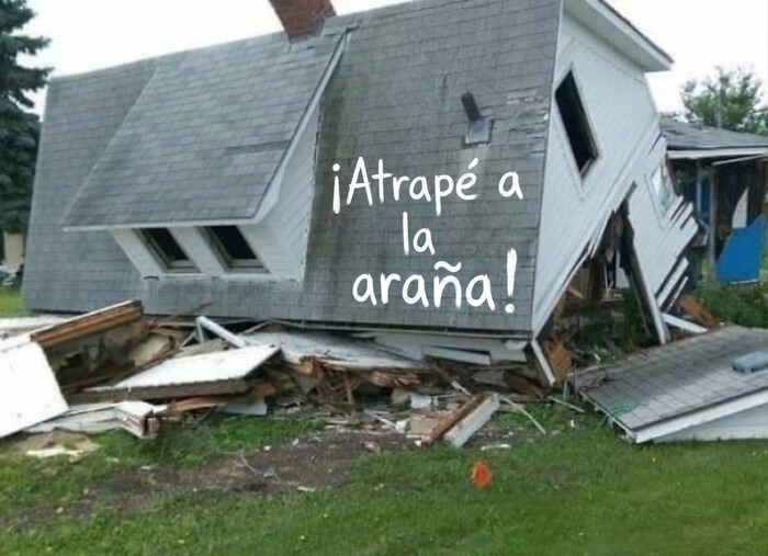Meme sobre construcción de una casa destruida con mensaje gracioso de araña