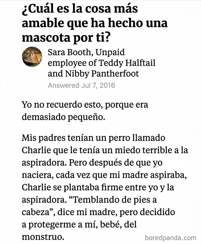 Una de las publicaciones reconfortantes que relata la historia de un perro protegiendo a un bebé.
