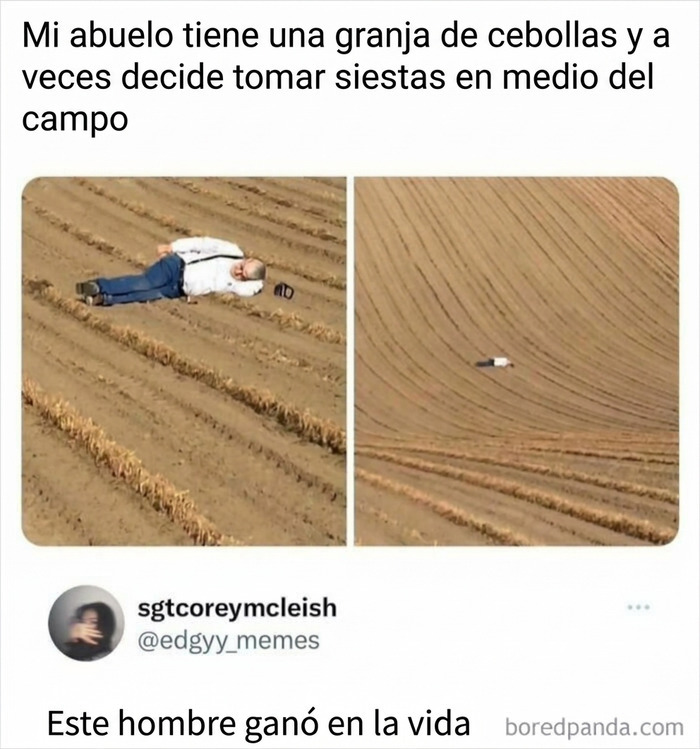 Publicaciones reconfortantes: Un abuelo descansando placidamente en su granja de cebollas.