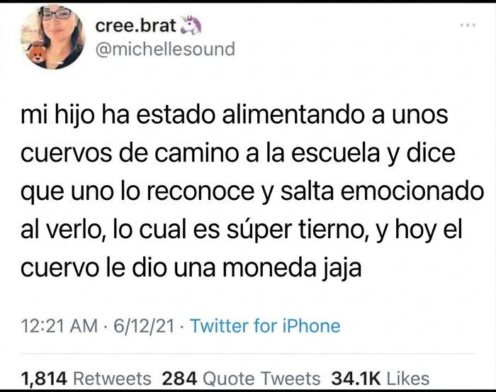 Publicaciones reconfortantes: Captura de mensaje sobre un cuervo que le regaló una moneda a un niño.