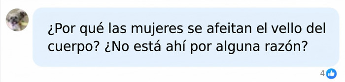 Pregunta en un comentario sobre las razones de depilarse las partes &iacute;ntimas y el vello corporal.