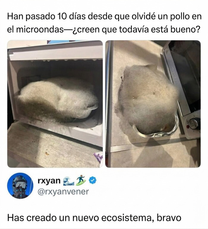 Pollo cubierto de moho en un microondas, parte de memes para reír.