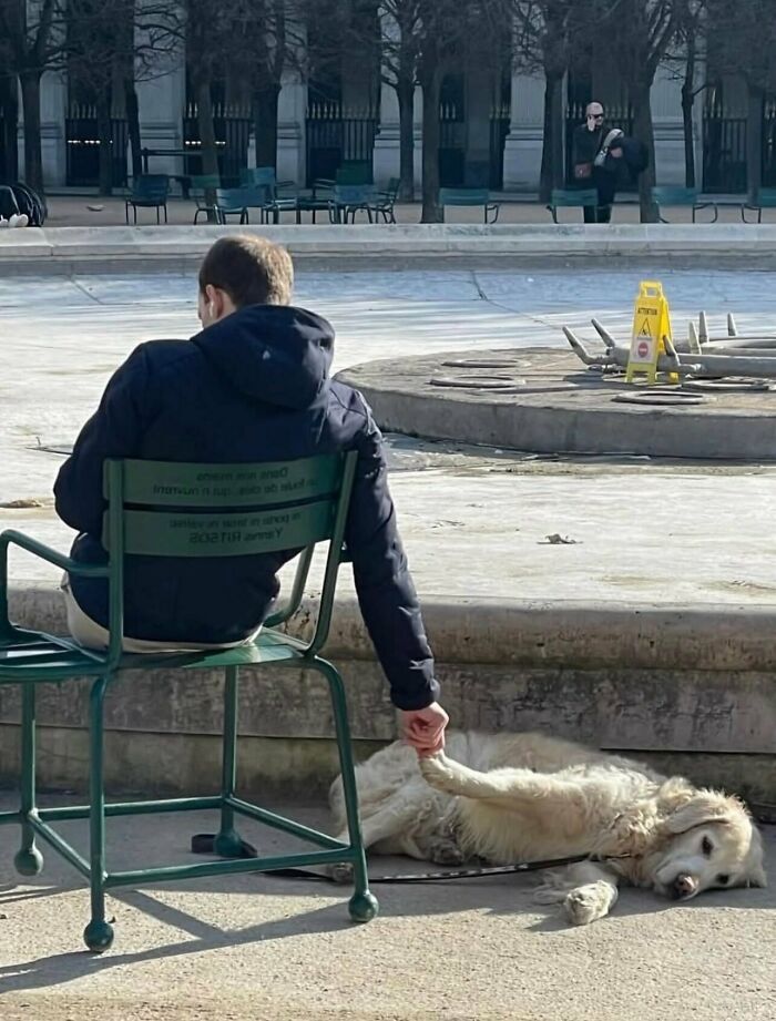 Hombre sentado sosteniendo la pata de su perro en el parque, parte de memes sin contexto únicos.