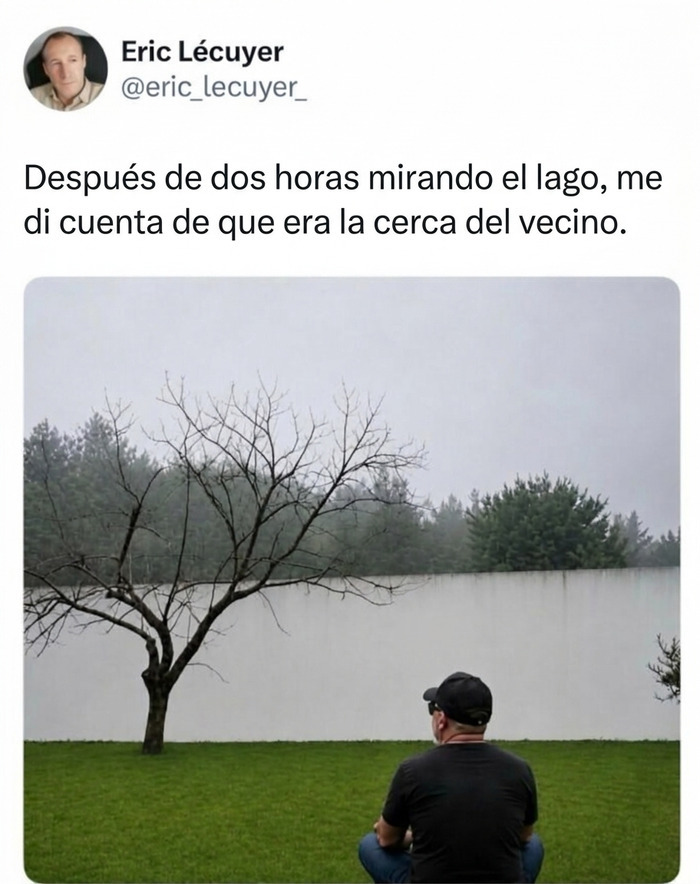 Hombre mirando una pared pensando que es un lago, entre varias imágenes y memes sin contexto.